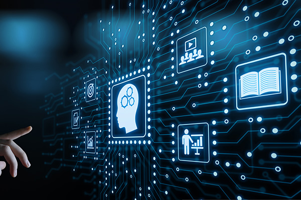 Our Services Our Services